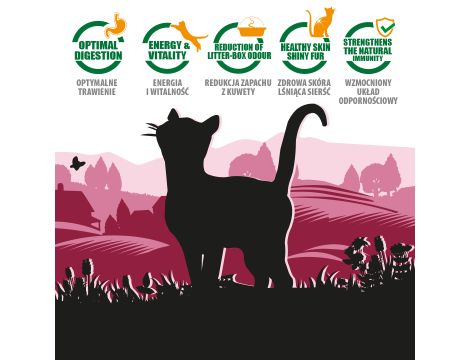 Karma sucha dla kota PUPIL Premium bogata w wołowinę 1,6 kg - 9