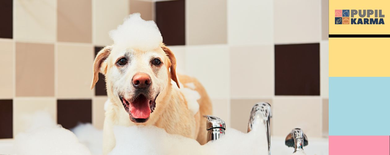 Uśmiechnięty pies rasy labrador retriever w wannie, pokryty pianą, podczas kąpieli. W tle znajdują się płytki w odcieniach beżu i brązu. Po prawej stronie grafiki widoczne jest logo Pupil Karma