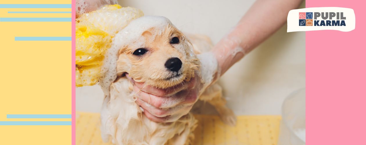 Zdjęcie małego psa w kąpieli mytego żółtą myjką. Po bokach zdjęcia elementy graficzne w żółtym, turkusowym i różowym kolorze. W prawym górnym rogu na jasnym tle logotyp pupilkarma..