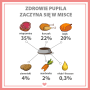 Karma mokra dla psa PUPIL Premium All Meat ADULT wieprzowina 10 x 400 g - 9