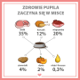 Karma mokra dla psa PUPIL Premium All Meat ADULT królik 10 x 400 g - 9