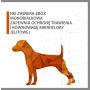 Karma sucha dla psa PUPIL Premium MONOPROTEIN MINI bogata w kaczkę 1,6 kg - 10