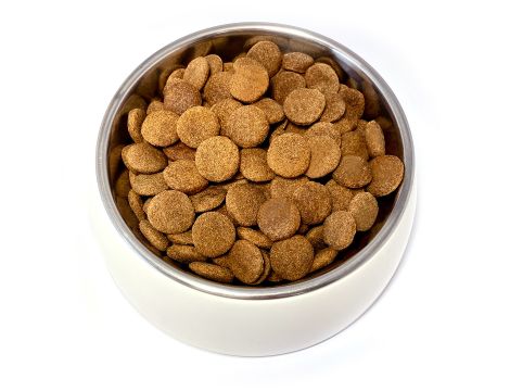 Karma sucha dla psa TEO MIX smaków 2 x 9 kg - 4