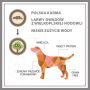 Karma sucha dla psa PUPIL Premium INSECTS All Breeds 1,6 kg - 10