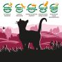 Karma sucha dla kota PUPIL Premium bogata w wołowinę 8 kg - 11