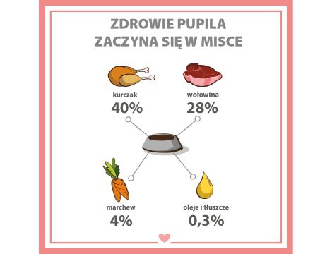 Karma sucha dla psa PUPIL Premium JUNIOR MINI bogata w wołowinę 10kg+10xKarma mokra dla psa PUPIL Premium All Meat JUNIOR kurczak i wołowina 400 g - 16