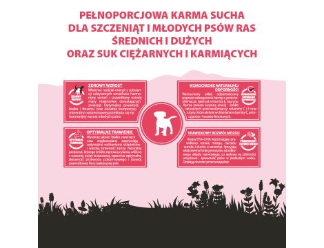 Karma sucha dla psa PUPIL Premium JUNIOR M&L bogata w wołowinę 12kg + 3kg - 11