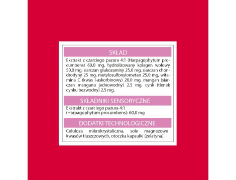 PUPIL PREMIUM proSKIN na skórę i sierść 100 ml - 60 kapsułek + PUPIL PREMIUM proFLEXI na stawy i kości 100 ml - 60 kapsułek - 10