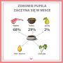 Karma mokra dla psa PUPIL Premium All Meat GOLD JUNIOR cielęcina 400 g - 8