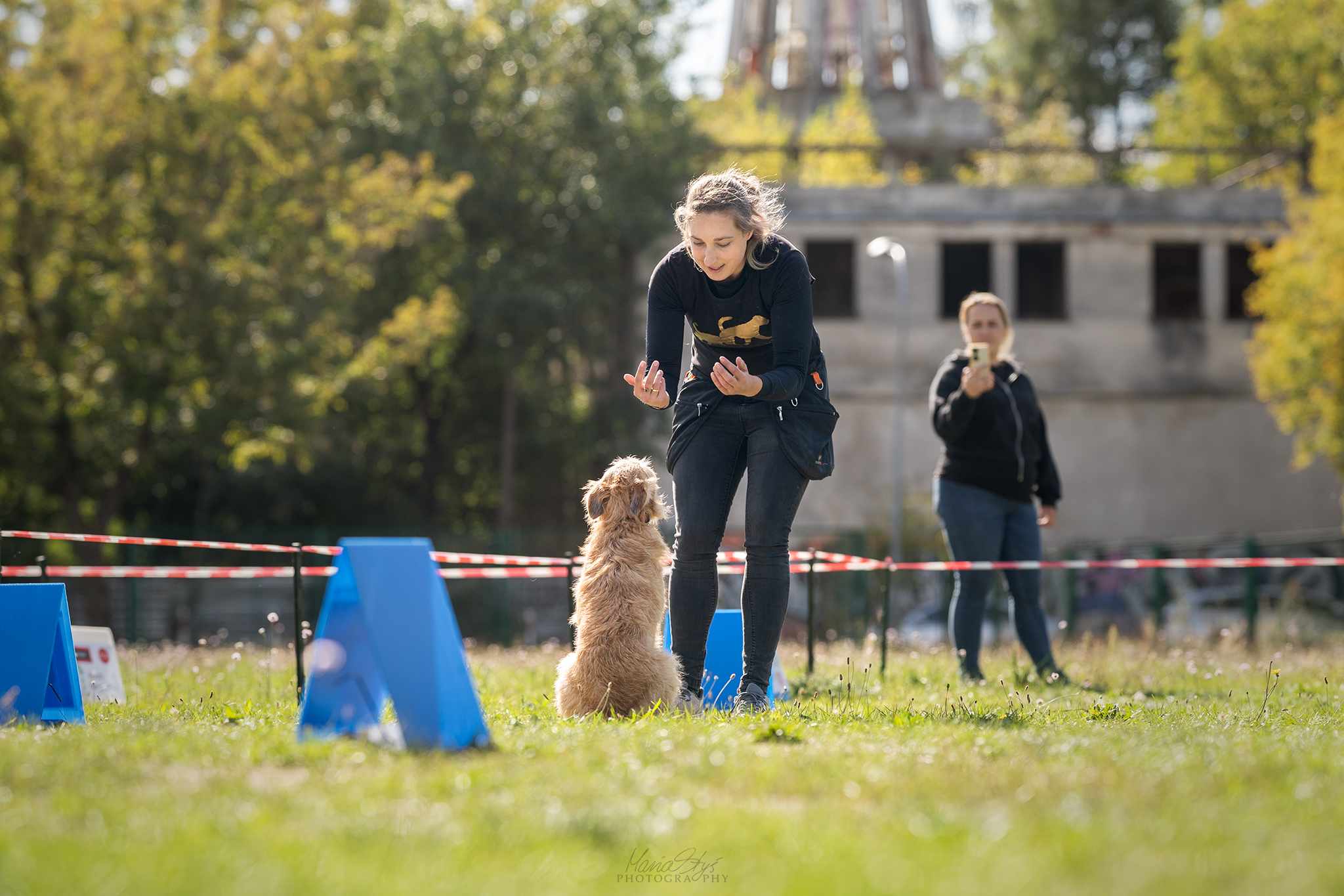 Rally-Obedience — czyli, czy posłuszeństwo sportowe może być na luzie? Zdjęcie przedstawia kobietę trenującą małego psa, który siedzi na tylnych łapach, prawdopodobnie podczas wykonywania komendy. Kobieta ubrana jest w czarną koszulkę z logo, a za nią, w tle, znajduje się osoba obserwująca scenę, trzymająca telefon, co sugeruje, że może być to część wydarzenia lub treningu psów.