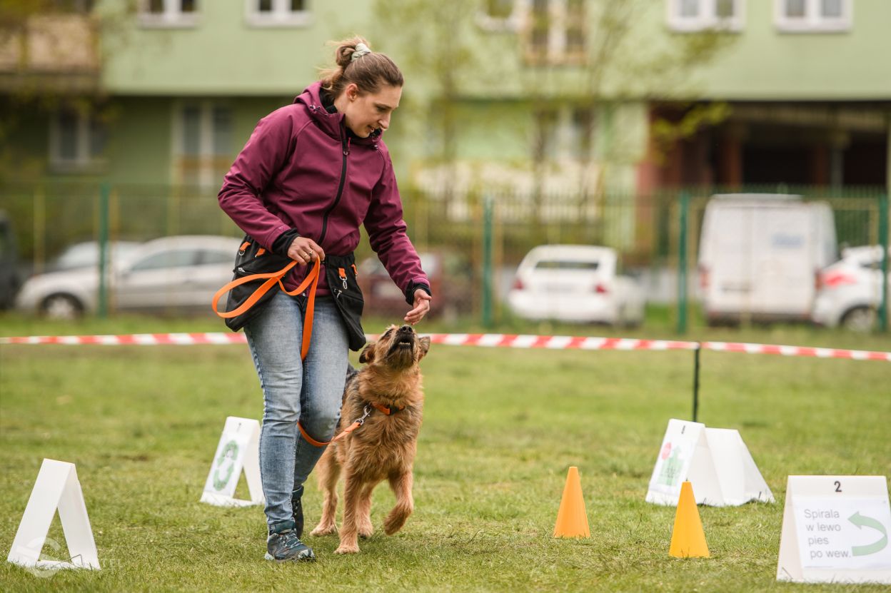 Rally-Obedience — czyli, czy posłuszeństwo sportowe może być na luzie?