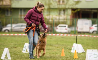 Rally-Obedience — czyli, czy posłuszeństwo sportowe może być na luzie?