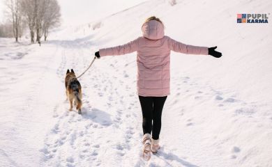Pies podczas zimowych spacerów