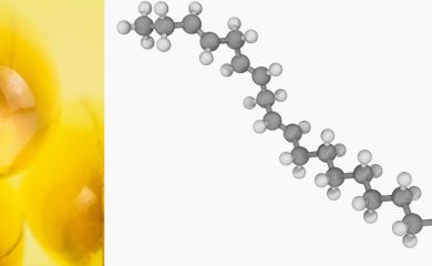 Kwasy tłuszczowe w diecie psa — omega 3 i omega 6