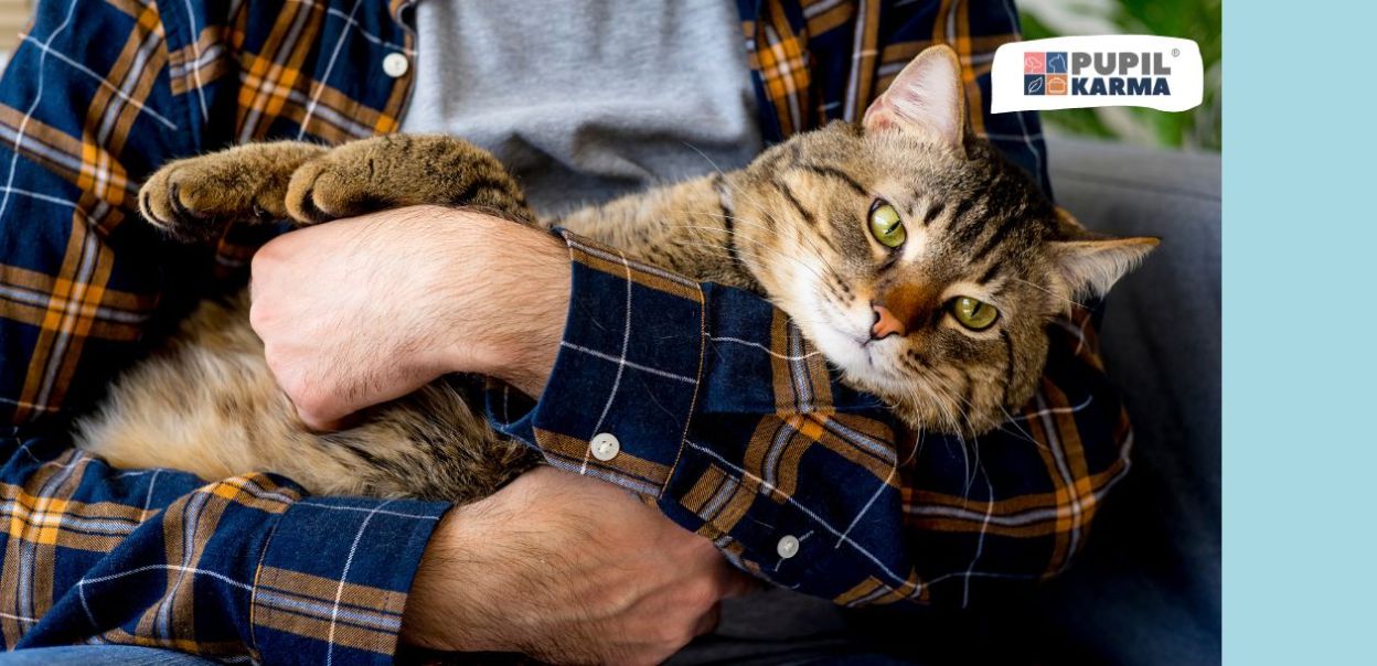 8 rzeczy, które zrozumie tylko właściciel kota