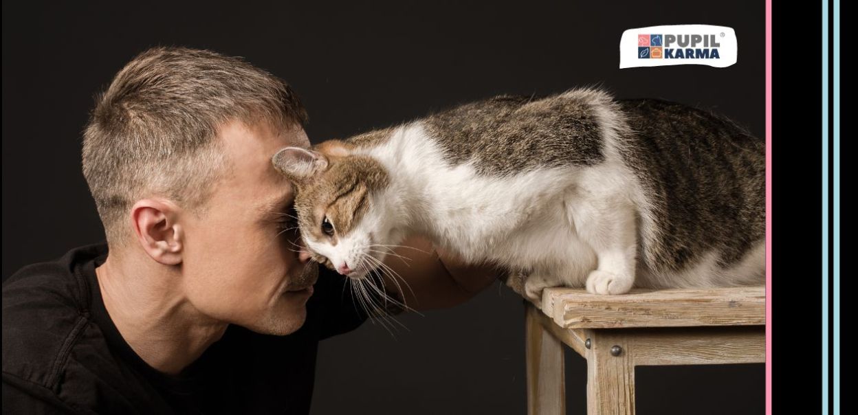 Barankowanie kota — dlaczego koty tak robią?