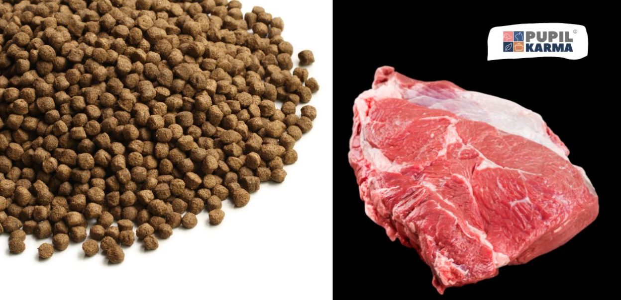 Włączenie mięsa do suchej karmy: jakie są powody i korzyści?