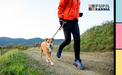 10 wskazówek jak biegać z psem